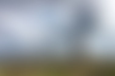 A liberdade como substância da vida