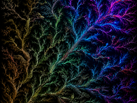 What I Mean by an Evolutionary Perspective