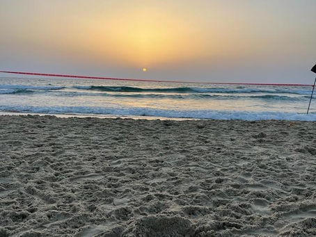Living in Paradise...Occupied