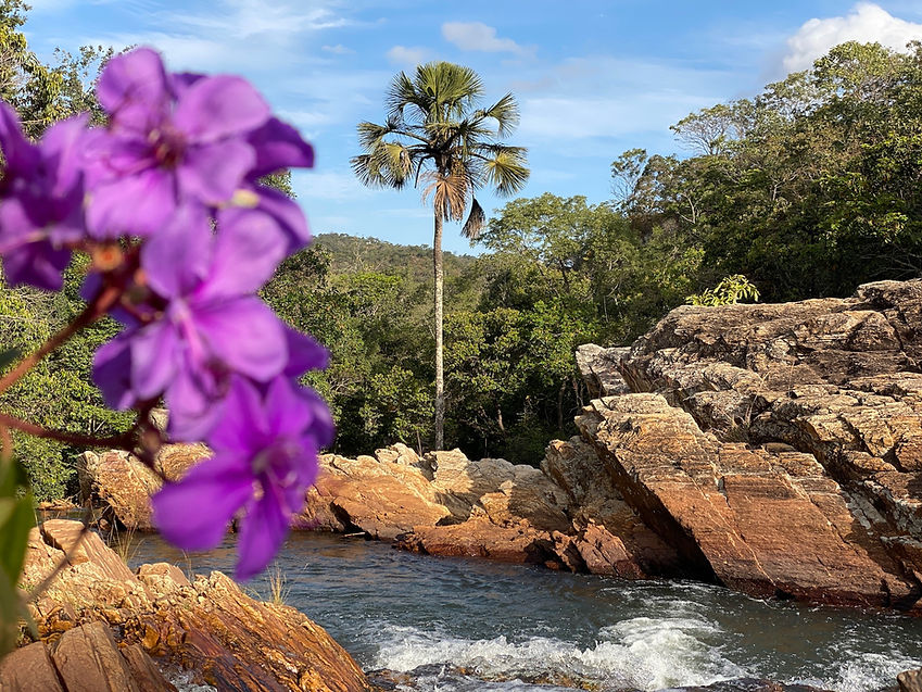 Parque do Coqueiro.jpg