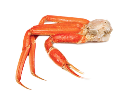 Cooked-Snow-Crab-Cluster.png