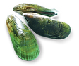 2SBBRetwRLiM._UX256_TTW__.png