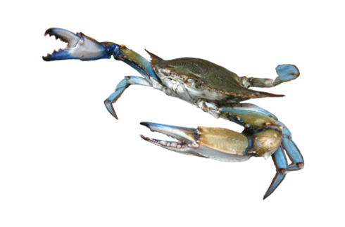 3.png