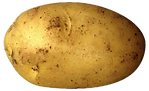 5-2-potato-png-clipart.png