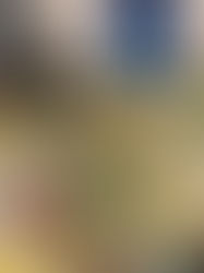 Group Weaving Project