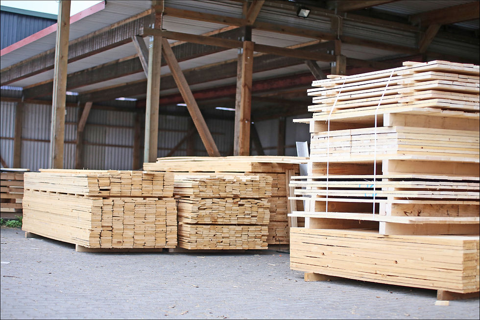 Holzhandlung FREESE Holz KVH BSH