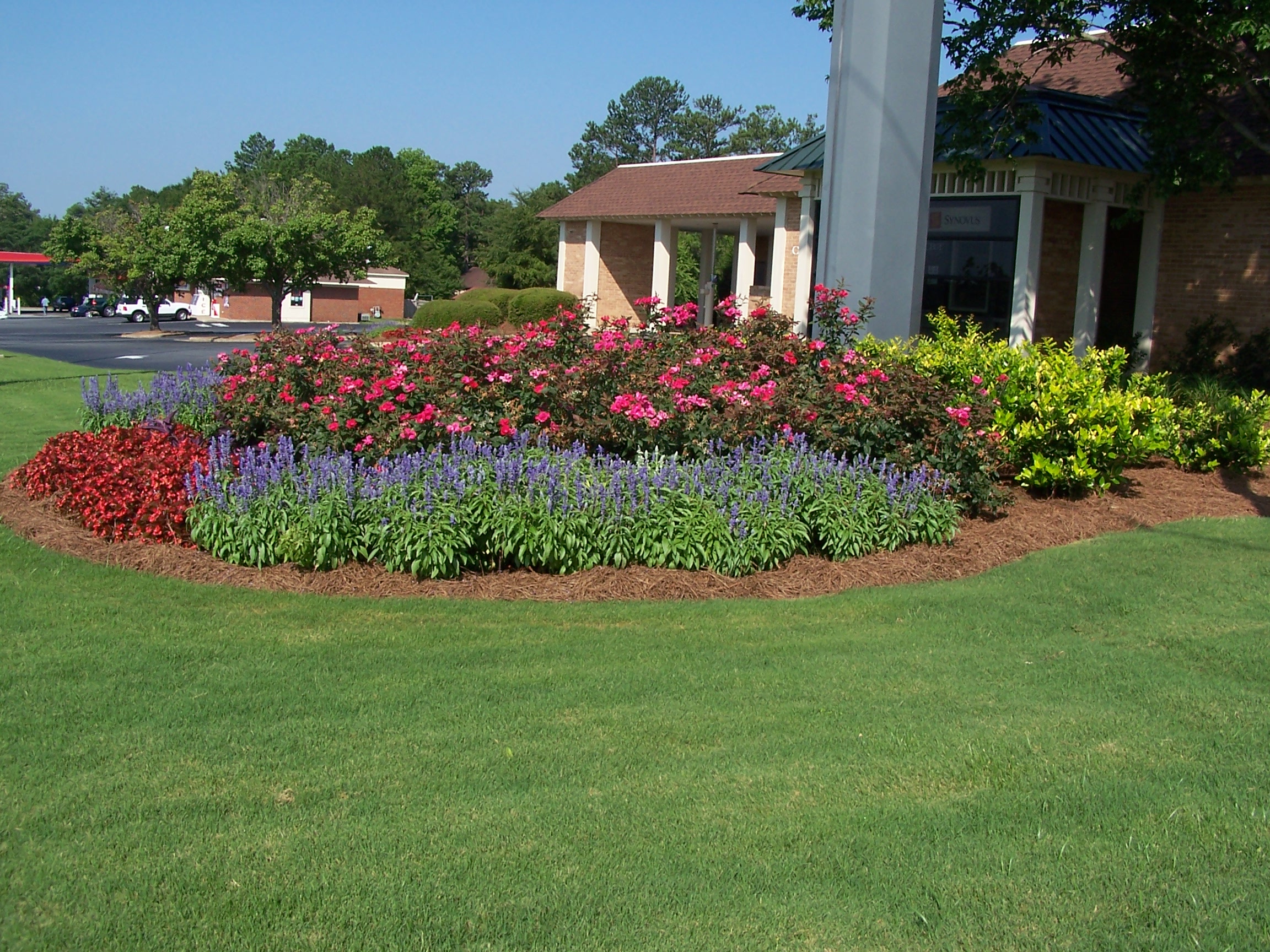 Professional Landscaping Columbus in Color Landscape Group