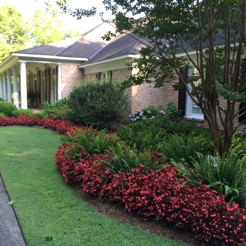 Professional Landscaping Columbus in Color Landscape Group