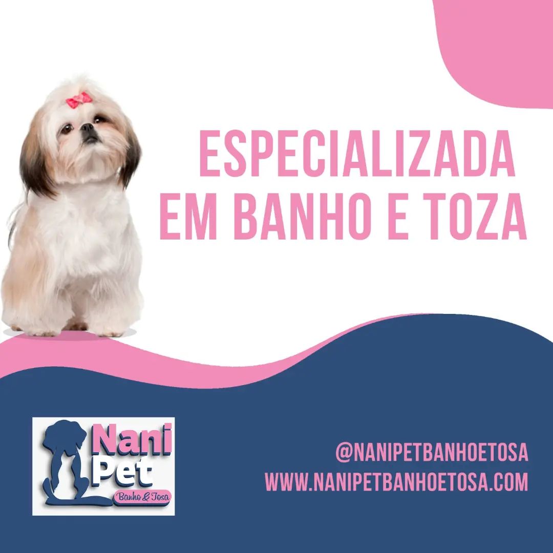 17920534625604952.webp