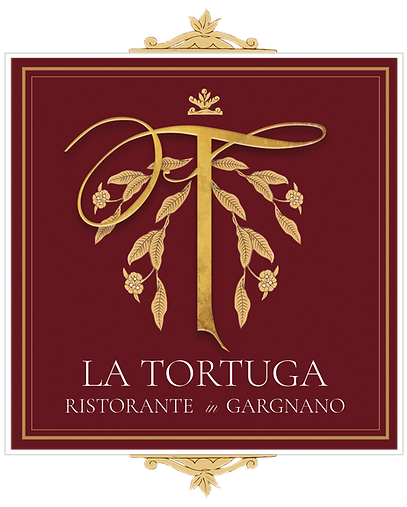 Logo Tortuga rosso.png