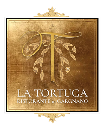 Riquadro Tortuga gold.png