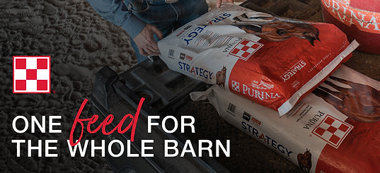 Purina-114-WholeBarn.jpg