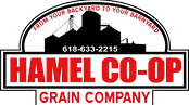 HCG Logo_edited.png