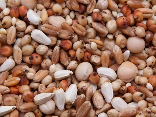 Des Moines No Corn Special Pigeon Mix
