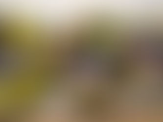 A Day of Reflection, Storytelling and Community at Treeview