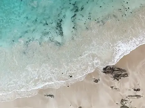 DJI_0297_edited.jpg.webp