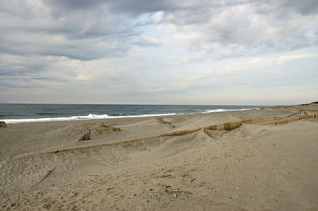 Nakatajima_Sand_Dunes_03.jpg