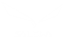 Salewa Logo