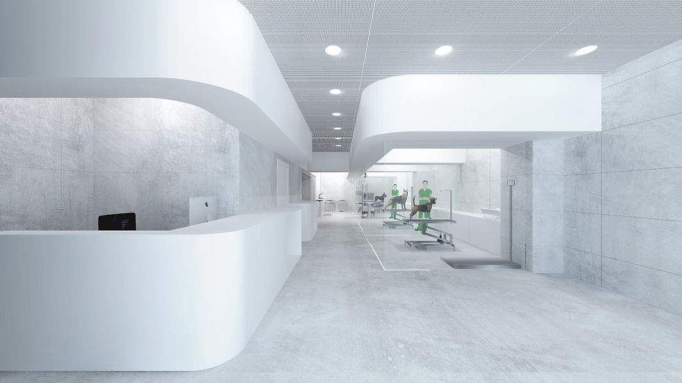 Clinica Veterinaria Alonso Martinez