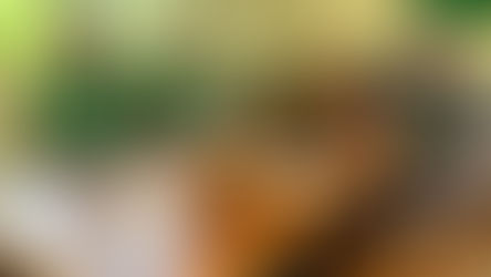 Visita Técnica - ASCAMATO, Conceição do Mato Dentro, MG