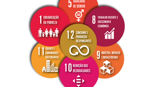 Objetivos de Desenvolvimento Sustentável