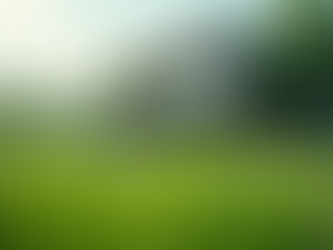 A Importância do COP30 no Brasil para Empresas