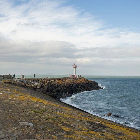 Cелище Гоут в Ірландії