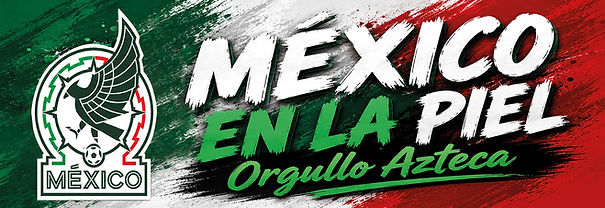 MEX mod 2.jpg