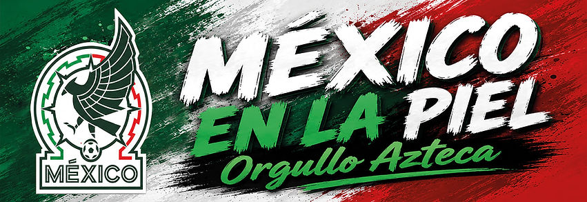 MEX mod 2.jpg