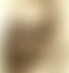 FOTOGRAFIA E PINTURA