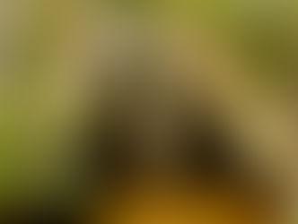 Sensibilidade em cada detalhe