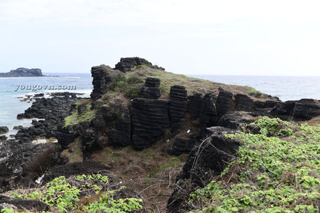 Những gành đá trên đảo Phú Quý