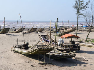 Nam Định: Bên bờ đê biển