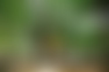 Theo tuyến xe bus 03: Núi Thiên Ấn - Chứng tích Sơn Mỹ