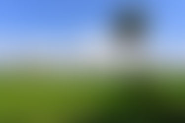 Những hàng thốt nốt ở An Giang