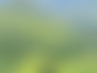 Thung lũng Mường Hoa - Mùa lúa chín