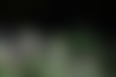 Vẻ đẹp bản Kho Mường