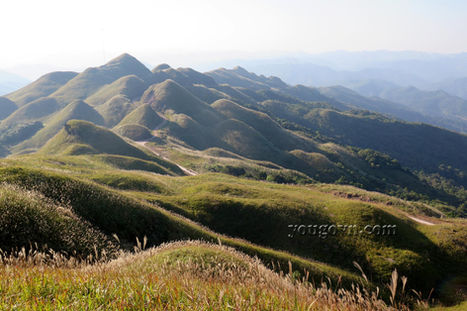 Bình Liêu mùa lau