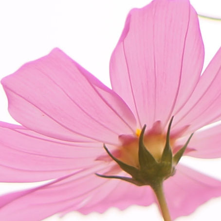 10月は「胃・脾（い・ひ）」を整える季節🍂