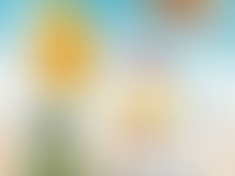 【夏限定】珈琲屋さんが本気で作った絶品かき氷、登場!