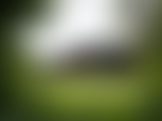 Exploring Māori Whakapapa in Modern Architecture