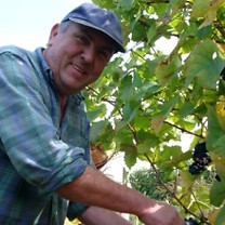 Mr-BAUR-vigne.jpg