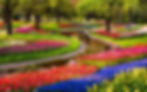 giardino.jpg