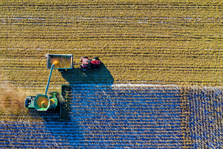 Aerial crop inspection