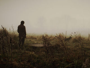 Summer 2011 - Gary Peploe