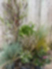 IMG_8459.jpeg