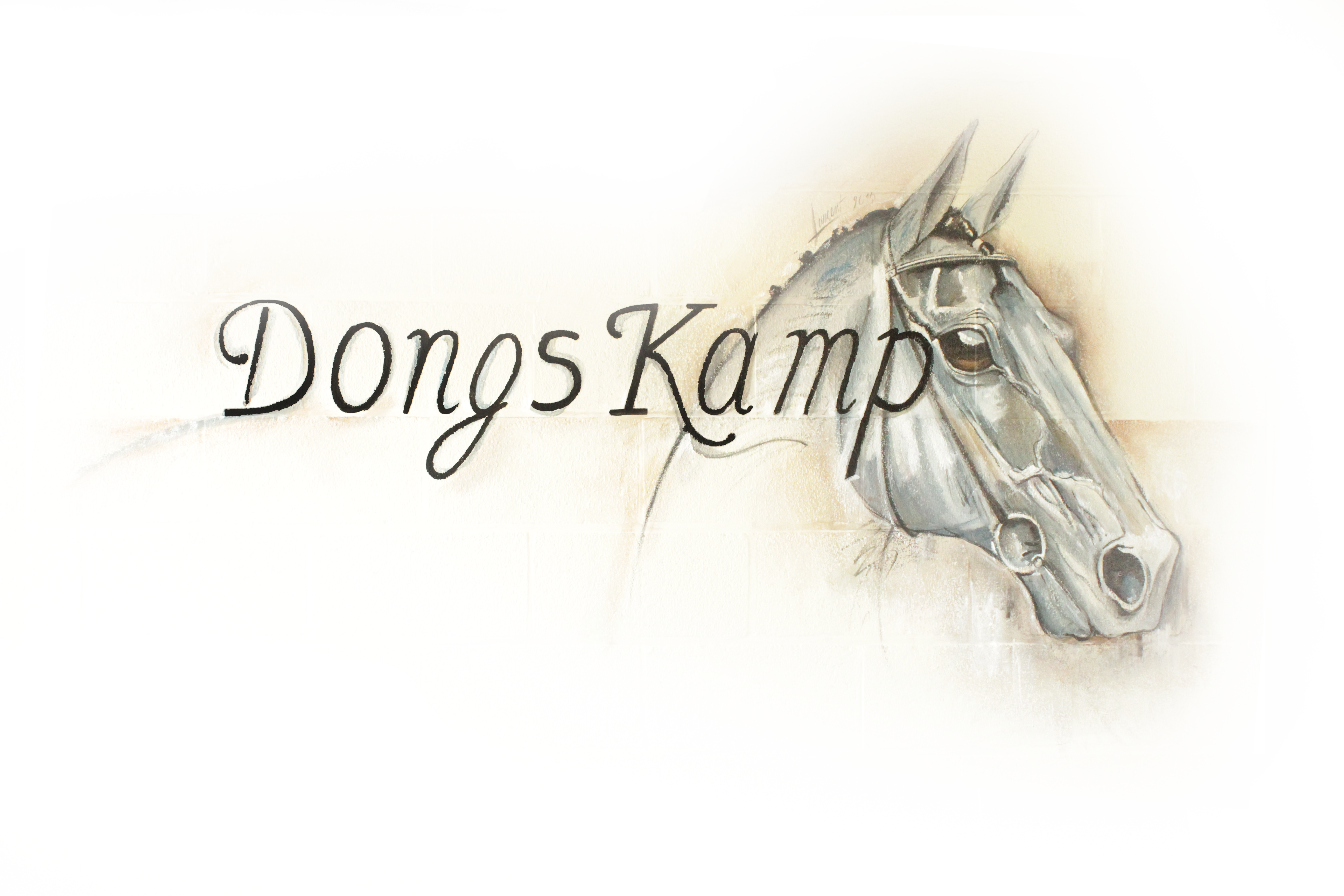 PAARDENVERENIGING DONGS KAMP