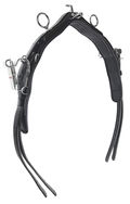 S1 Close Contact QH
