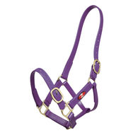 Zilco 25mm PN Halter 