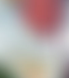 ‘La mentida més bonica’ de Francesc Serés